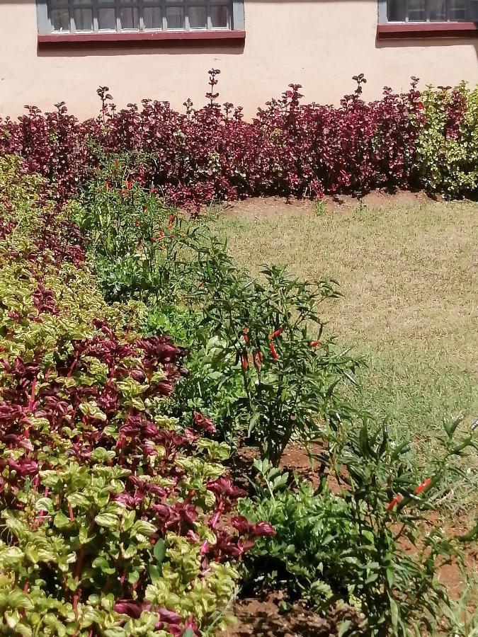 The Rhine Guest House - Eldoret Exterior photo